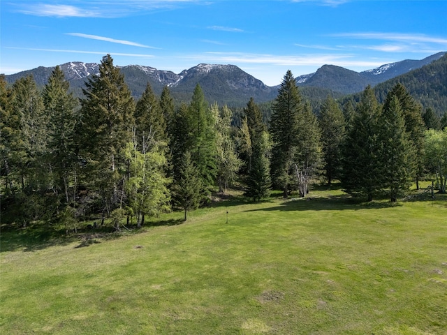 1636 Lake Blaine Rd, Kalispell, MT 59901 - view of mountain background with a heavily wooded area