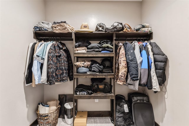 124 Hidden Waters Ln, Kalispell, MT 59901 - spacious closet featuring carpet flooring