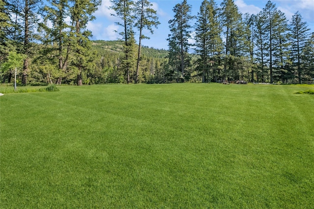 124 Hidden Waters Ln, Kalispell, MT 59901 - view of green lawn with a forest view