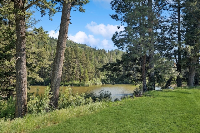 124 Hidden Waters Ln, Kalispell, MT 59901 - water view featuring a heavily wooded area