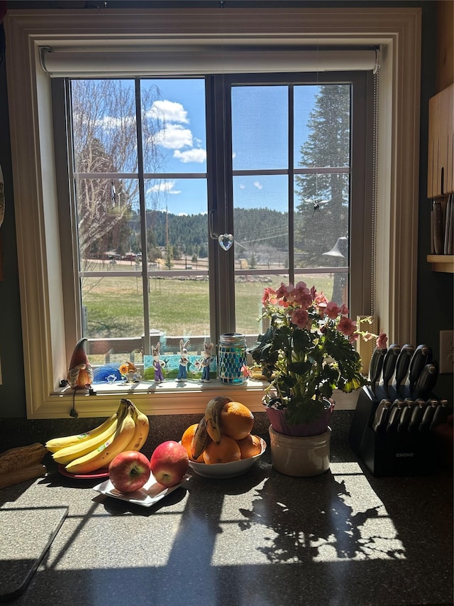 415 Galena Rd, Philipsburg, MT 59858 - view of interior details