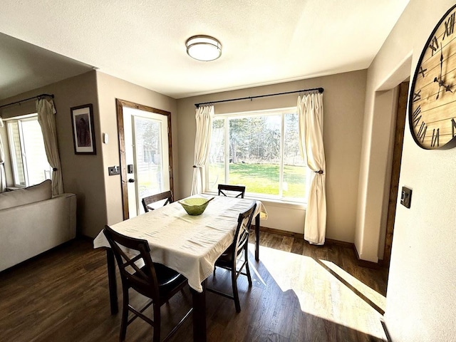 992 Trumble Creek Rd, Kalispell, MT 59901 - dining room with dark wood-style flooring and a textured ceiling