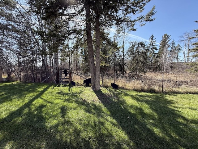 992 Trumble Creek Rd, Kalispell, MT 59901 - view of green lawn