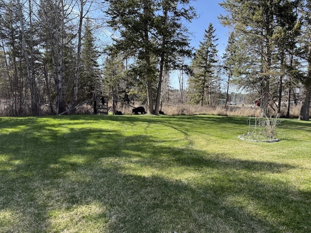 992 Trumble Creek Rd, Kalispell, MT 59901 - view of grassy yard