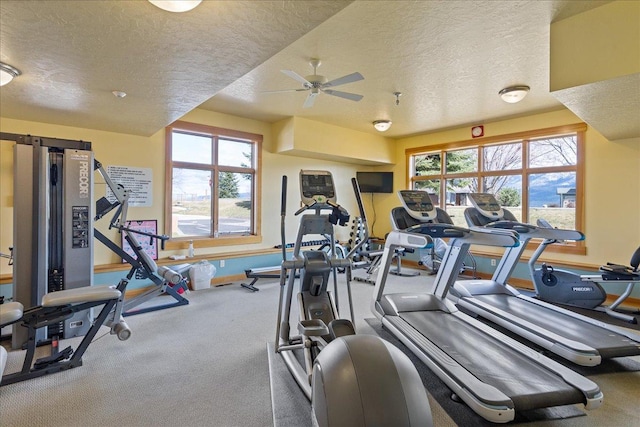 108 Tundra Swan Way, Polson, MT 59860