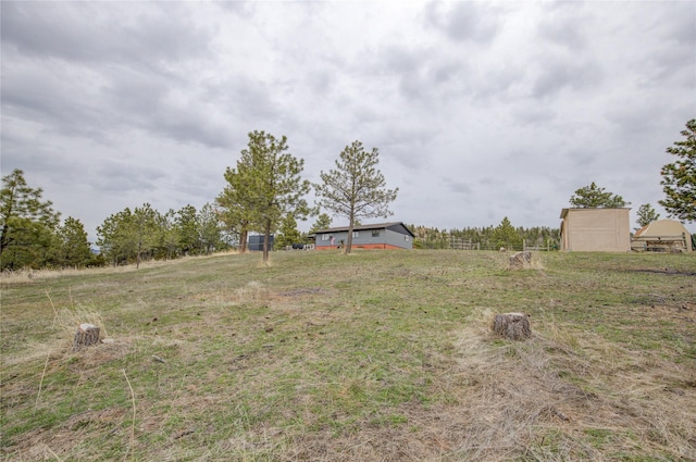 view of yard featuring a rural view