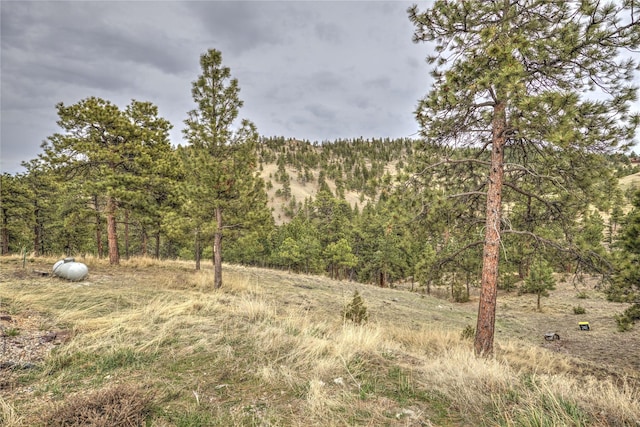 view of local wilderness featuring a forest view