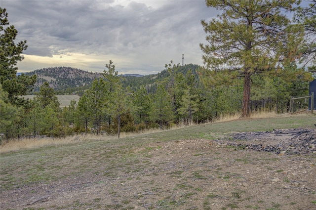 mountain view