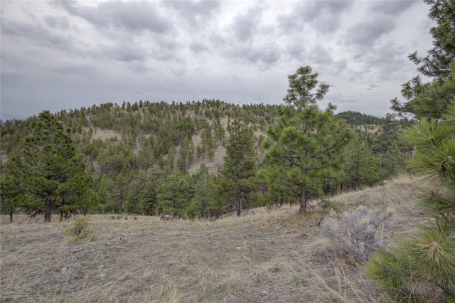 view of landscape featuring a view of trees