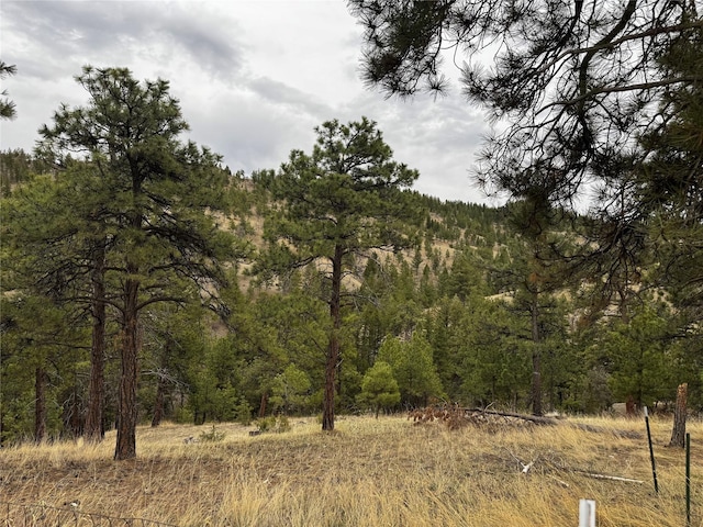 view of nature featuring a forest view