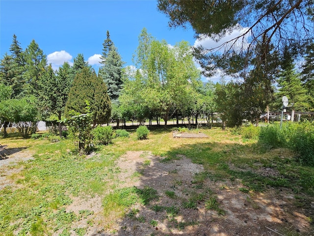 64 Ponderosa Ln, Thompson Falls, MT 59873 - view of yard
