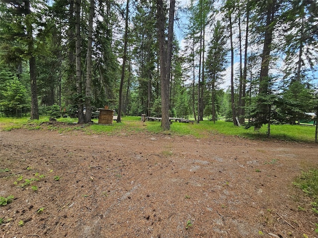 64 Ponderosa Ln, Thompson Falls, MT 59873 - view of yard