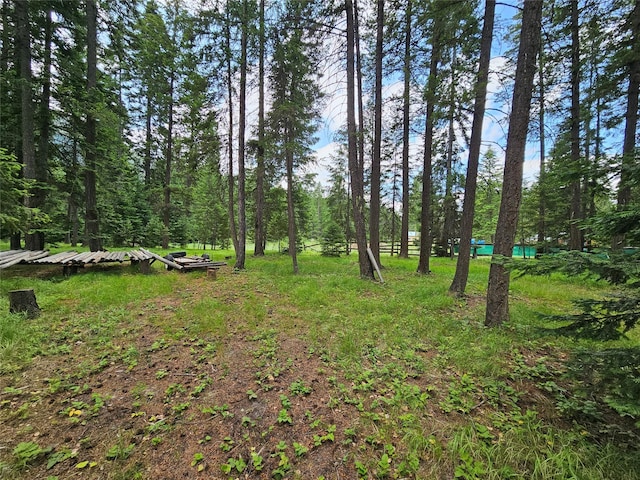 64 Ponderosa Ln, Thompson Falls, MT 59873 - view of yard