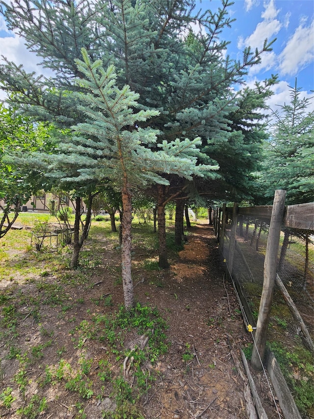 64 Ponderosa Ln, Thompson Falls, MT 59873 - view of yard