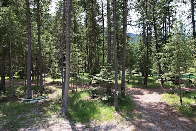 64 Ponderosa Ln, Thompson Falls, MT 59873 - view of wooded area