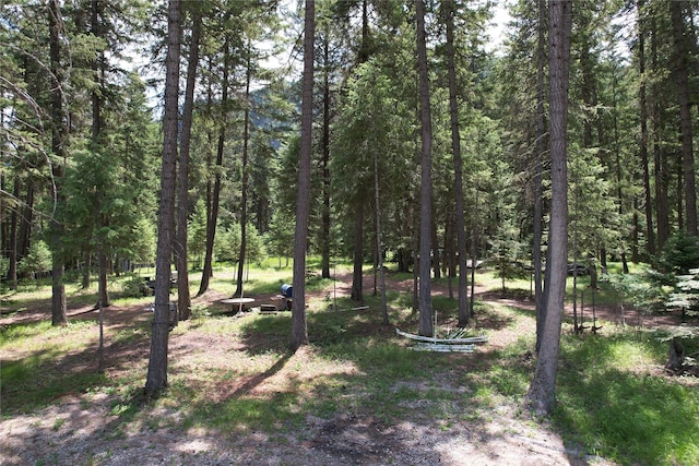64 Ponderosa Ln, Thompson Falls, MT 59873 - view of tree filled area