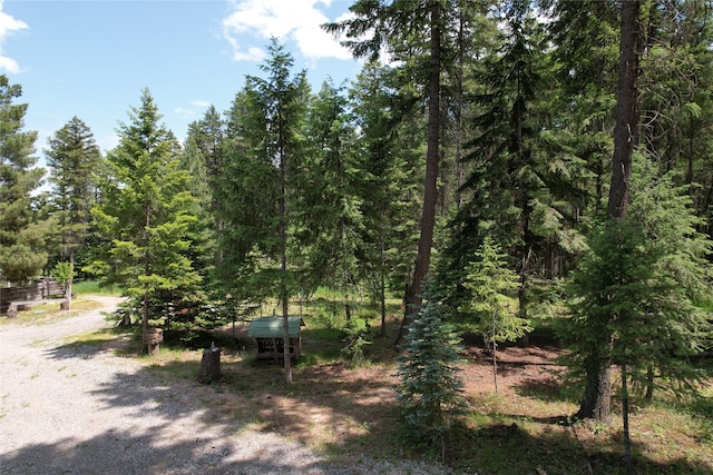 64 Ponderosa Ln, Thompson Falls, MT 59873 - view of dirt / gravel road with a wooded view