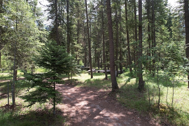 64 Ponderosa Ln, Thompson Falls, MT 59873 - view of road with a wooded view