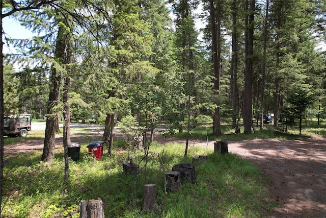 64 Ponderosa Ln, Thompson Falls, MT 59873 - view of community with a forest view