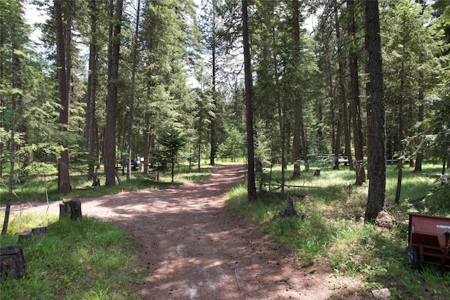 64 Ponderosa Ln, Thompson Falls, MT 59873 - view of property's community with a forest view