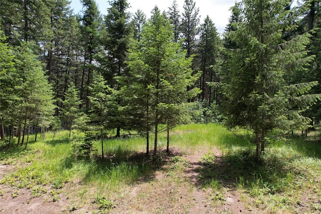 64 Ponderosa Ln, Thompson Falls, MT 59873 - view of wooded area