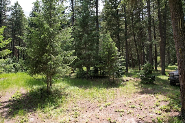 64 Ponderosa Ln, Thompson Falls, MT 59873 - view of tree filled area