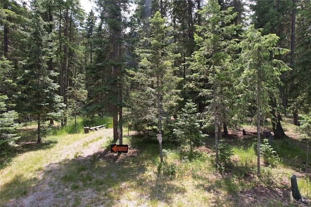 64 Ponderosa Ln, Thompson Falls, MT 59873 - view of yard featuring a wooded view