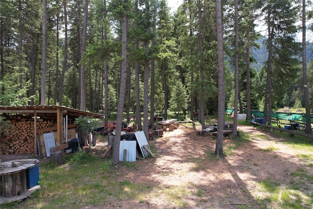 64 Ponderosa Ln, Thompson Falls, MT 59873 - view of yard with a wooded view