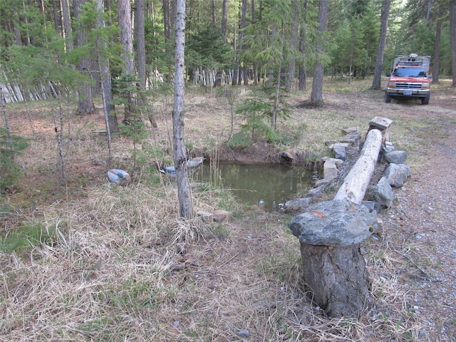64 Ponderosa Ln, Thompson Falls, MT 59873 - view of yard
