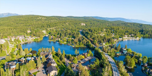 aerial view with a wooded view and a water and mountain view