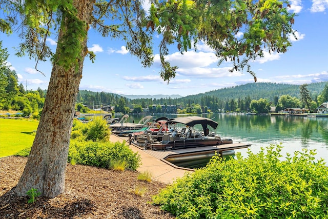 dock area featuring a forest view and a water view