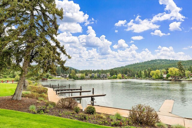 dock area featuring a wooded view and a water view