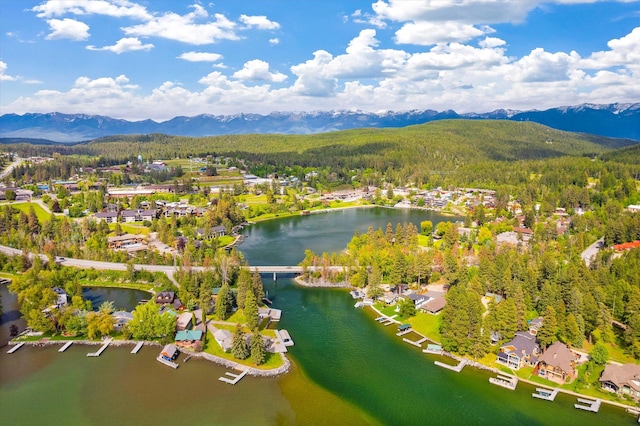 birds eye view of property with a water and mountain view, a view of trees, and a residential view