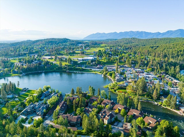 aerial view with a water and mountain view and a view of trees