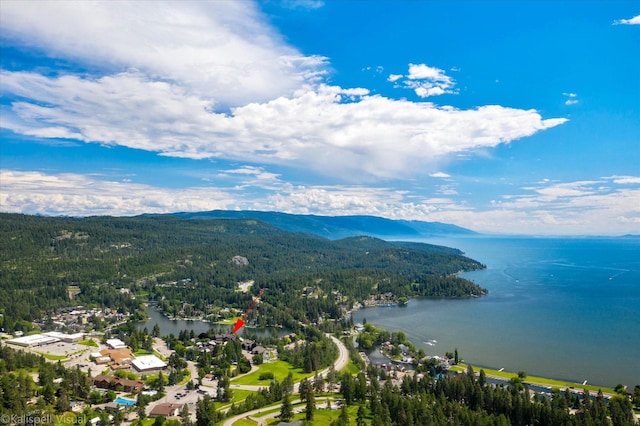aerial view featuring a wooded view and a water and mountain view