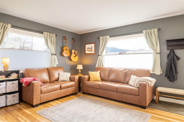 1634 W Central Ave, Missoula, MT 59801 - living area featuring light wood-style flooring