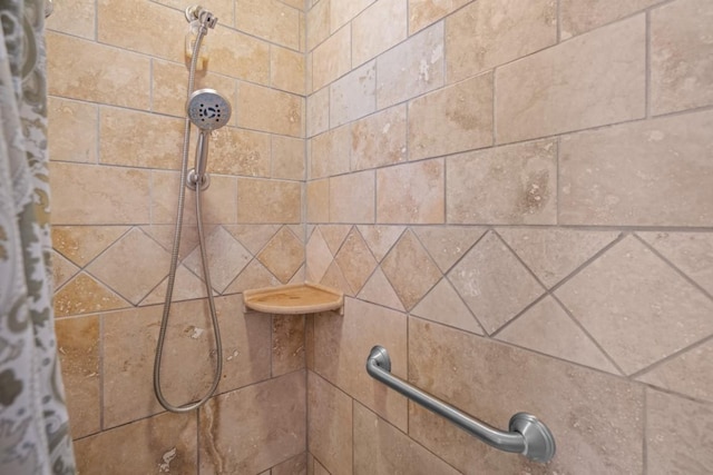 538 Bighorn Dr, Thompson Falls, MT 59873 - details featuring tiled shower