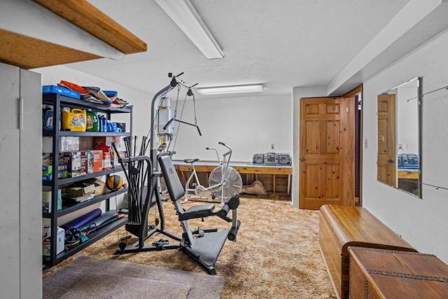 538 Bighorn Dr, Thompson Falls, MT 59873 - workout room featuring carpet flooring
