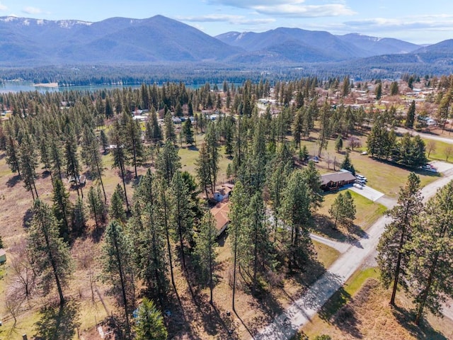 538 Bighorn Dr, Thompson Falls, MT 59873 - birds eye view of property with a view of trees and a mountain view