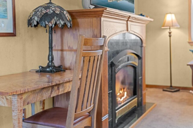 538 Bighorn Dr, Thompson Falls, MT 59873 - interior details featuring a wood stove and carpet flooring