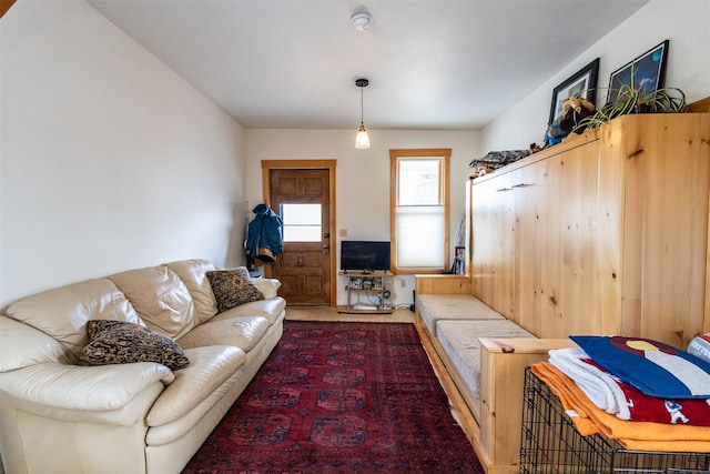 view of carpeted living area