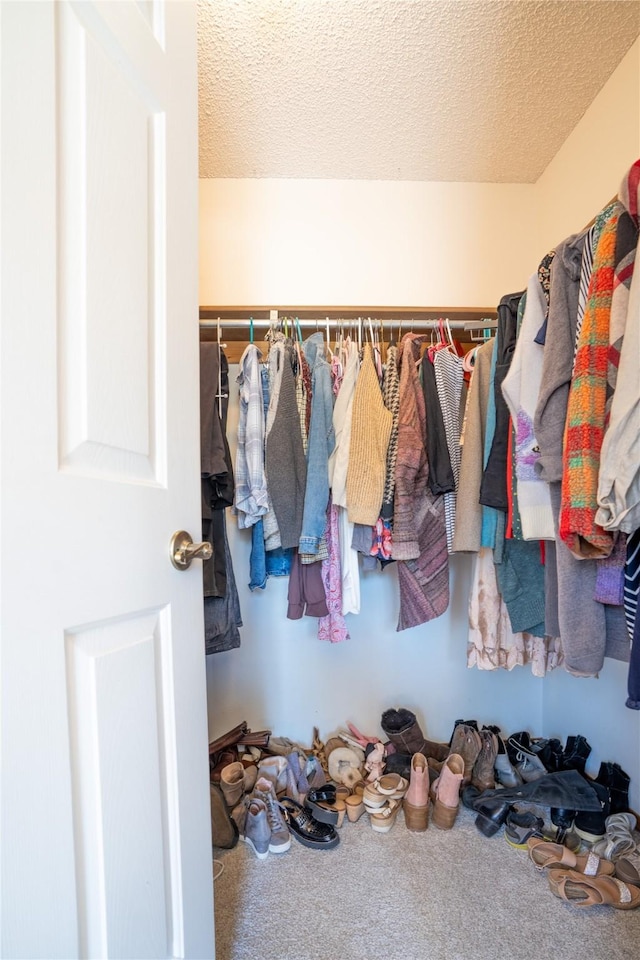 701 N Davis St Unit A, Helena, MT 59601 - spacious closet featuring carpet floors