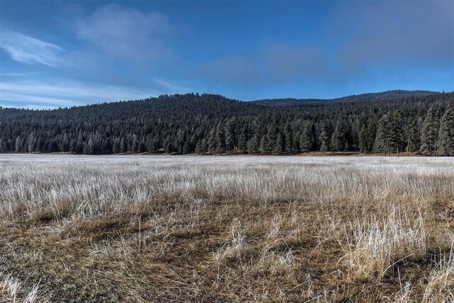 13442 Vannoy Ln, Greenough, MT 59823