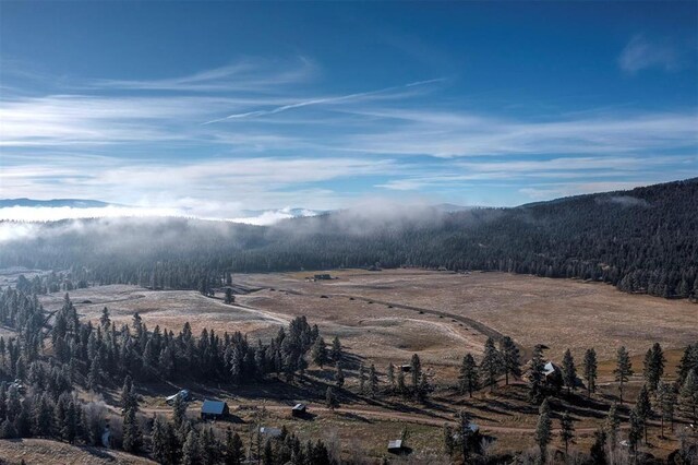 13442 Vannoy Ln, Greenough, MT 59823