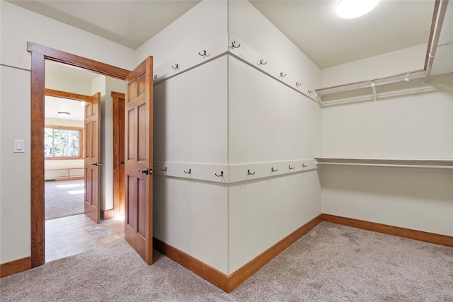136 N Fork Trl, Columbia Falls, MT 59912 - spacious closet with carpet floors