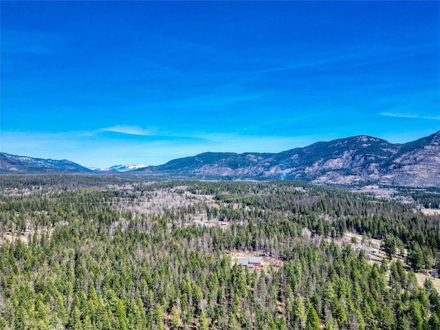 136 N Fork Trl, Columbia Falls, MT 59912 - mountain view featuring a heavily wooded area