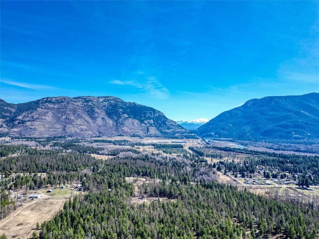 property view of mountains with a forest view