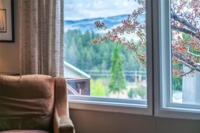 714 Rosalind St, Philipsburg, MT 59858 - detailed view