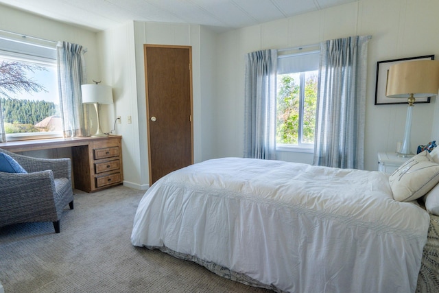 714 Rosalind St, Philipsburg, MT 59858 - view of carpeted bedroom
