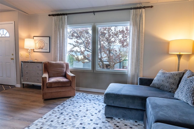 714 Rosalind St, Philipsburg, MT 59858 - living room featuring wood finished floors and baseboards